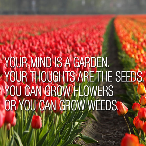 quote-garden